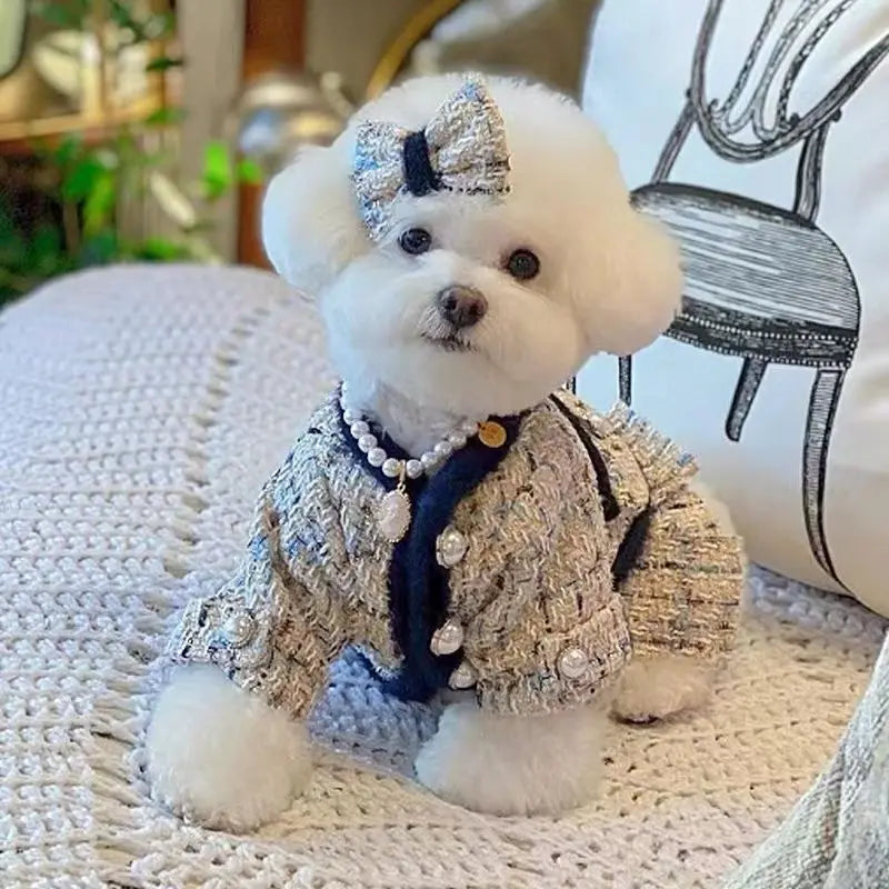 Pet Clothing for Dogs Cats Luxury Jacket Autumn Winter Thickened Puppy Clothes Beautiful Skirt Traction Warm Coat Set