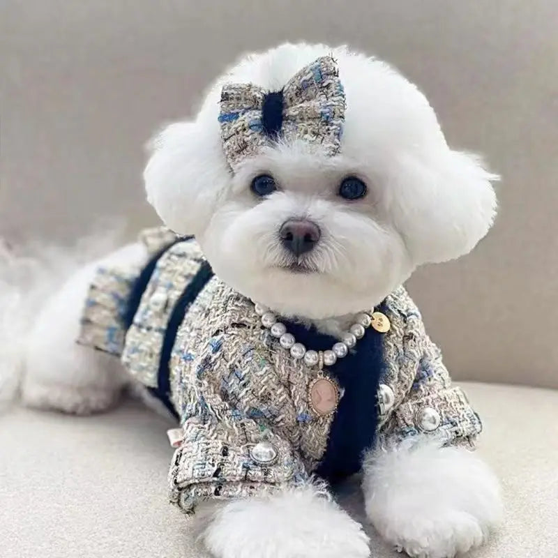 Pet Clothing for Dogs Cats Luxury Jacket Autumn Winter Thickened Puppy Clothes Beautiful Skirt Traction Warm Coat Set