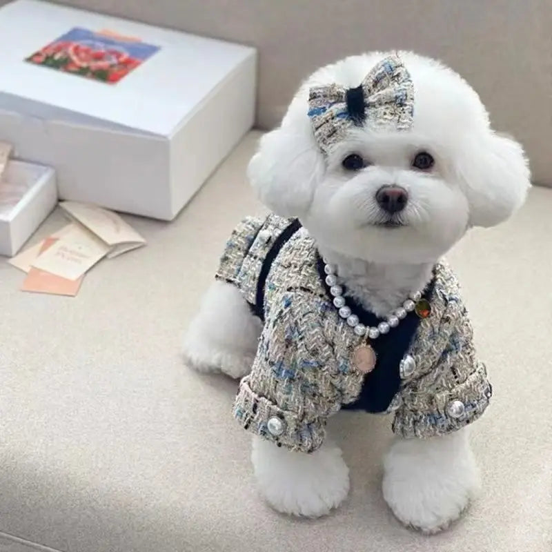 Pet Clothing for Dogs Cats Luxury Jacket Autumn Winter Thickened Puppy Clothes Beautiful Skirt Traction Warm Coat Set