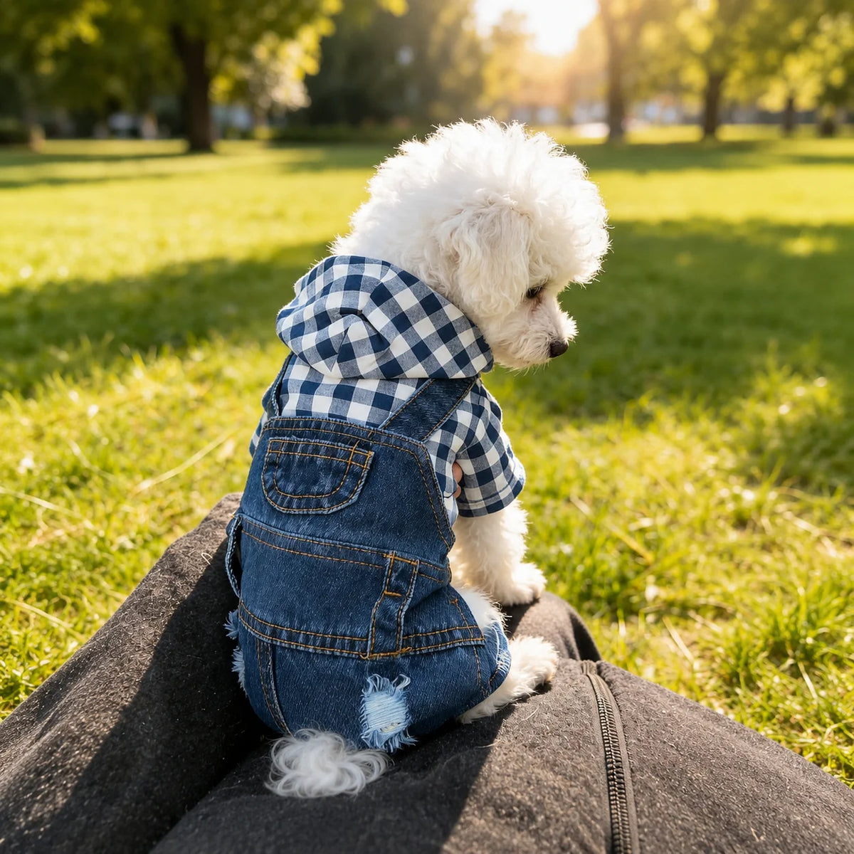1pc Dog Outfits for Small Dogs，Striped 4-Leg Denim Effect Jumpsuit, Cute Suspender Pants for Spring Summer Wear